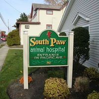 South Paw Animal Hospital