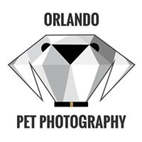 Orlando Pet Photography