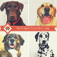 My Furrst Love Pet Care, LLC