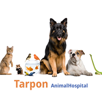 Tarpon Animal Hospital