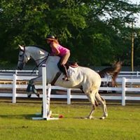 Laurel Oaks Stables