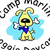 Camp Marlin Doggie Daycare