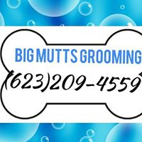 BIG MUTTS grooming