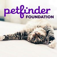 Petfinder Foundation