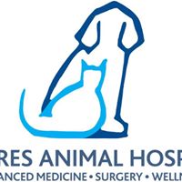 Shores Animal Hospital