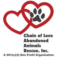 Chain Of Love Abandoned Dogs Everglades Homestead Fl Mirta’s Resc Grp