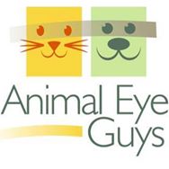 Animal Eye Guys Miami