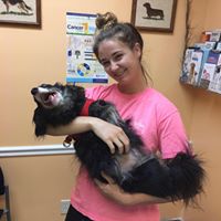 Best Friends Veterinary Hospital