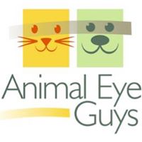 Animal Eye Guys Hollywood