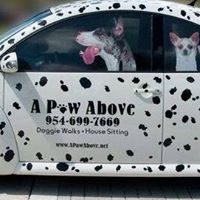 A Paw Above Pet Sitting Services