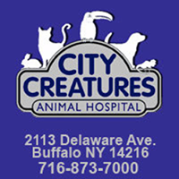 City Creatures Animal Hospital