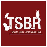 Tri-State Bird Rescue & Research, Inc.