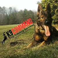 K9 Command