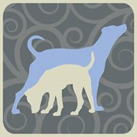 Ascent Dog Training