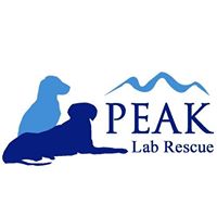 Peak Lab Rescue