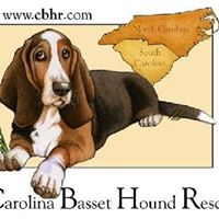 Carolina Basset Hound Rescue