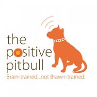 The Positive Pit Bull