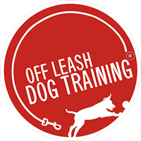 Off Leash Dog Training