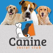 Canine Social Club of Asheville