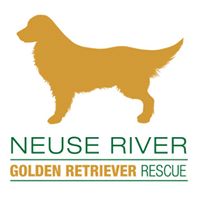 Neuse River Golden Retriever Rescue – Raleigh