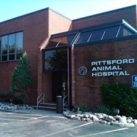 Animal Hospital of Pittsford