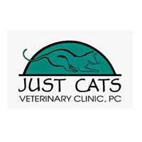 Just Cats Veterinary Clinic, P.C.