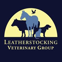 Leatherstocking Veterinary Services