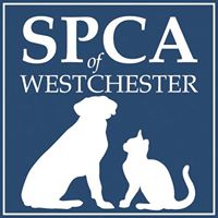 SPCA of Westchester