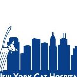 New York Cat Hospital