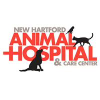 New Hartford Animal Hospital