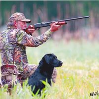 Three Oaks Retrievers