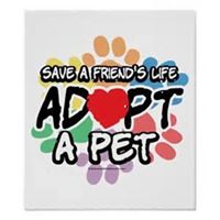 Robeson County Animal Shelter