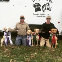 Feather Point Retrievers