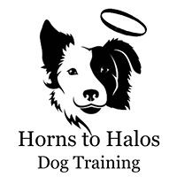 Horns to Halos Dog Training