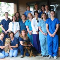 Milton Veterinary Hospital