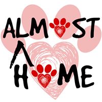 Almost Home Dog Rescue and Rehab