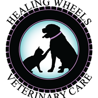 Veterinarian On Wheels, PLLC