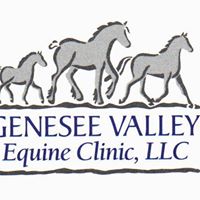 Genesee Valley Equine Clinic, PLLC