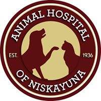 Animal Hospital of Niskayuna