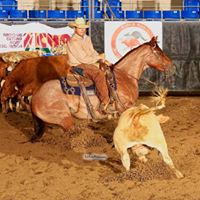 Jade Keller Performance Horses