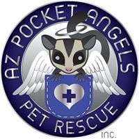 Az Pocket Angels Pet Rescue