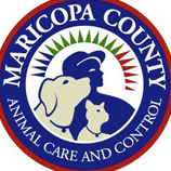 Maricopa County Animal Care & Control (MCACC) – Adopt at pets.maricopa.gov