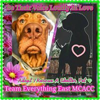 Team Everything East MCACC -Mesa, Arizona