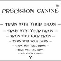 Precision Canine Dog Training