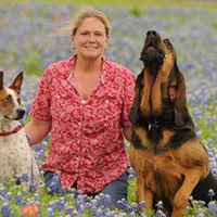 Flagstaff Pet Dog Training