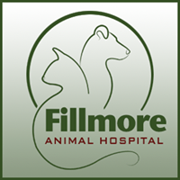 Fillmore Animal Hospital