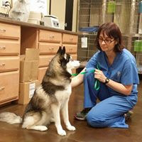 Temecula Valley Animal Hospital