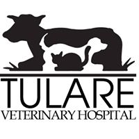 Tulare Veterinary Hospital