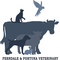 Ferndale & Fortuna Veterinary