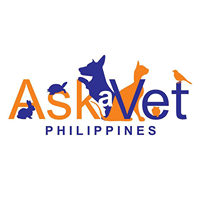 Ask a Vet Animal Medical Hospital